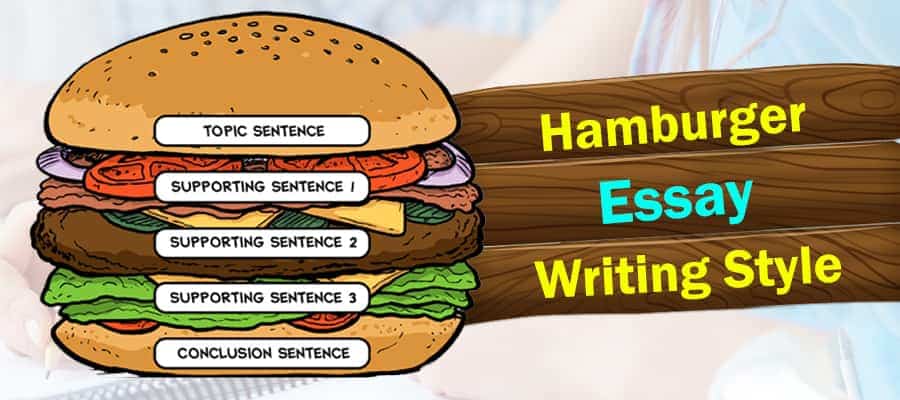 Hamburger Essay Writing Style